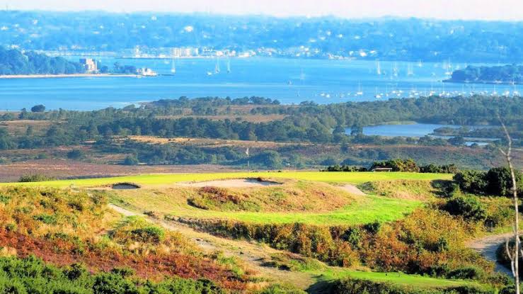Local Games & Odds: Our Purbeck Perspective